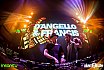 D'Angello & Francis